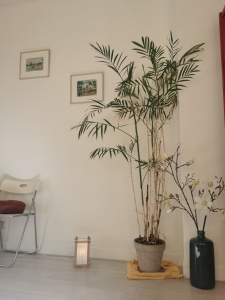 IMG_20240913_114720-01 Praktijkruimte te huur Amsterdam- Praktijk Rokin 91 Achter